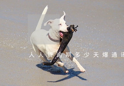 人人贷逾期多少天爆通讯录 人人贷逾期多少天爆通讯录
