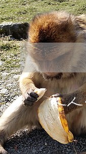 人人贷逾期多年在哪还款 人人贷逾期多年在哪还款