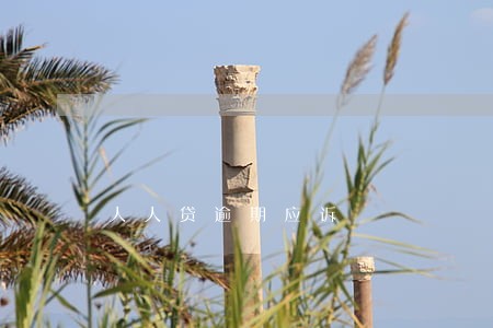 人人贷逾期应诉 人人贷逾期应诉