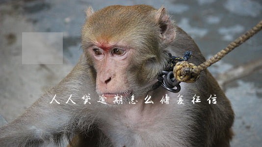人人贷逾期怎么修复征信 人人贷逾期怎么修复征信