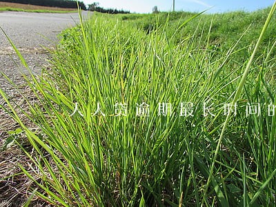 人人贷逾期最长时间的有吗 人人贷逾期最长时间的有吗