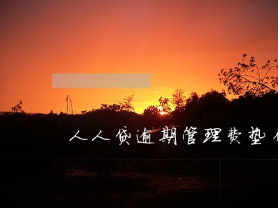 人人贷逾期管理费垫付费 人人贷逾期管理费垫付费