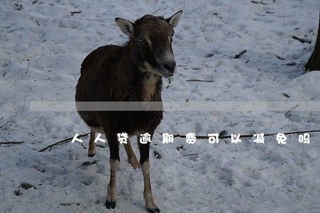 人人贷逾期费可以减免吗 人人贷逾期费可以减免吗