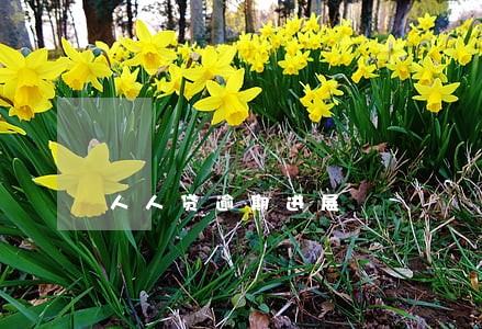 人人贷逾期进展 人人贷逾期进展