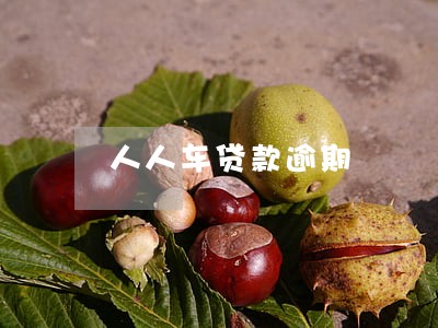 人人车贷款逾期 人人车贷款逾期