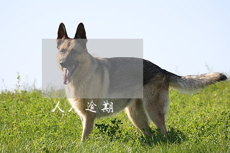人人逾期 人人逾期