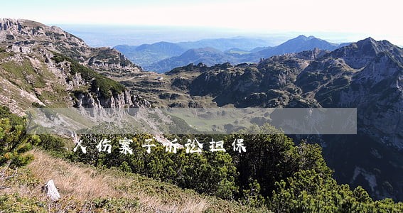 人伤案子诉讼担保 人伤案子诉讼担保