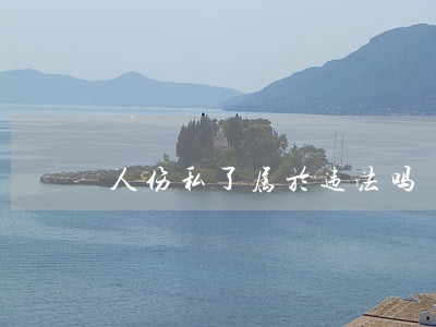 人伤私了属於违法吗 人伤私了属於违法吗