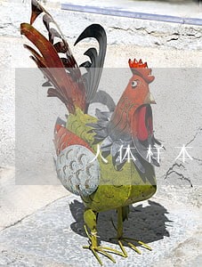 人体样本运输国家法规 人体样本运输国家法规