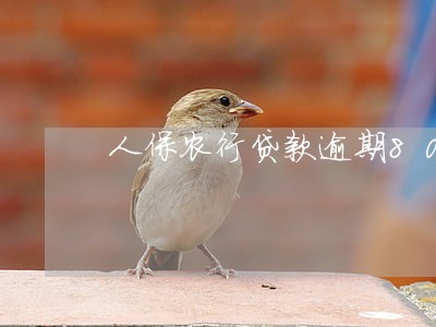 人保农行贷款逾期80天 人保农行贷款逾期80天