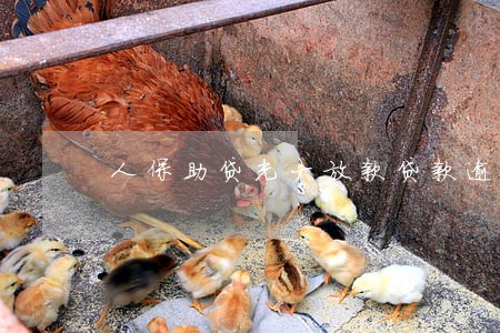 人保助贷光大放款贷款逾期了 人保助贷光大放款贷款逾期了