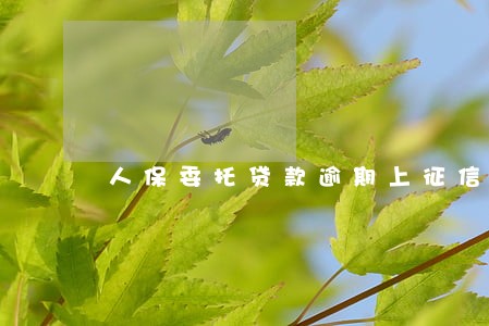 人保委托贷款逾期上征信吗 人保委托贷款逾期上征信吗