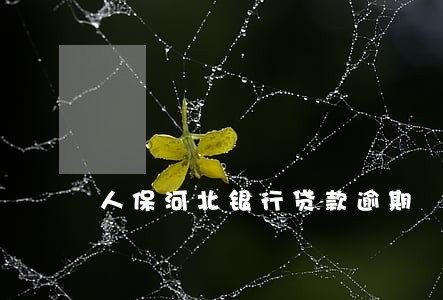 人保河北银行贷款逾期 人保河北银行贷款逾期