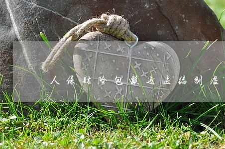人保财险包头违法编制虚假资料 人保财险包头违法编制虚假资料