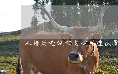 人保财险绥阳支公司违法遭罚 人保财险绥阳支公司违法遭罚
