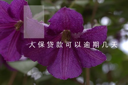 人保贷款可以逾期几天 人保贷款可以逾期几天