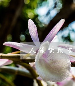 人保贷款有多少人逾期 人保贷款有多少人逾期