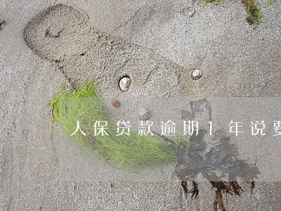 人保贷款逾期1年说要诉讼 人保贷款逾期1年说要诉讼
