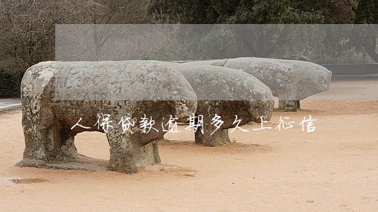 人保贷款逾期多久上征信 人保贷款逾期多久上征信