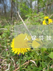 人保贷款逾期多久会被催收 人保贷款逾期多久会被催收