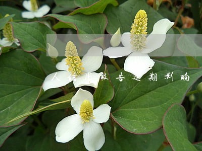 人信用报告逾期影响