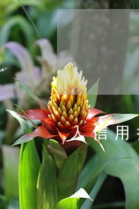 人信用报告里从未逾期过的账户 人信用报告里从未逾期过的账户