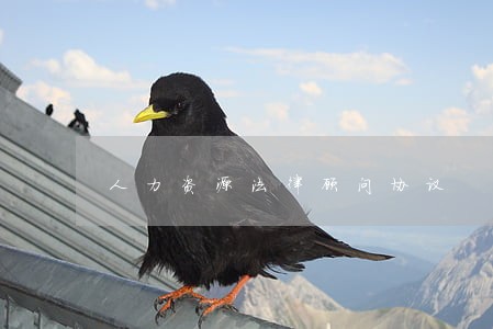 人力资源法律顾问协议 人力资源法律顾问协议