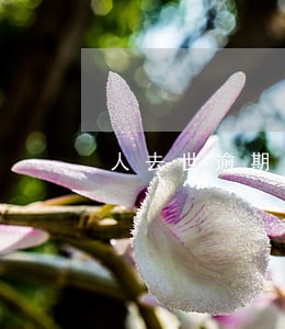 人去世逾期了贷款怎么还 人去世逾期了贷款怎么还