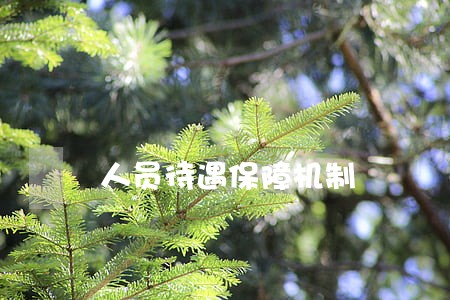 人员待遇保障机制