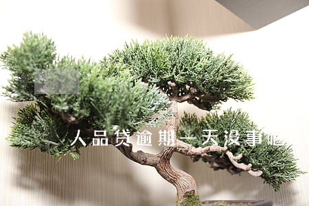 人品贷逾期一天没事吧6