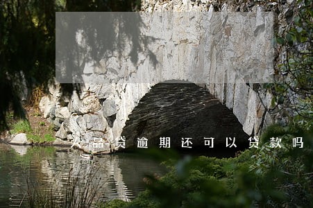 人品贷逾期还可以贷款吗 人品贷逾期还可以贷款吗