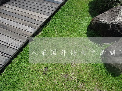 人在国外信用卡逾期不回国怎么办 人在国外信用卡逾期不回国怎么办