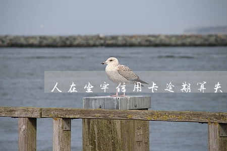 人在坐牢信用卡逾期算失信吗 人在坐牢信用卡逾期算失信吗