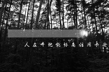 人在异地能协商信用卡逾期吗 人在异地能协商信用卡逾期吗