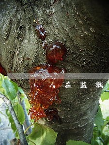 人在监狱信用卡逾期告我诈骗 人在监狱信用卡逾期告我诈骗