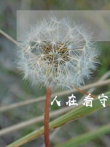 人在看守所民生信用卡逾期怎么办