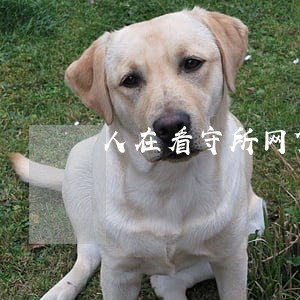 人在看守所网贷逾期怎么处理 人在看守所网贷逾期怎么处理