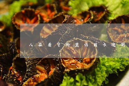 人在看守所里信用卡逾期怎么处理 人在看守所里信用卡逾期怎么处理