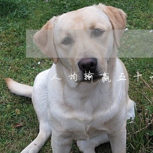 人均输赢五十元违法吗 人均输赢五十元违法吗