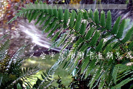 人坐牢了信用卡逾期怎么办 人坐牢了信用卡逾期怎么办