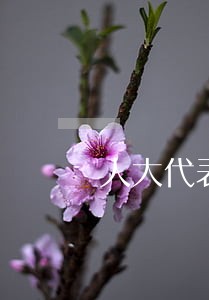 人大代表信用卡逾期 人大代表信用卡逾期