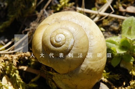 人大代表到法院听庭 人大代表到法院听庭