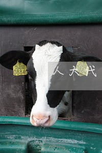 人大代表对法院提出的建议稿 人大代表对法院提出的建议稿