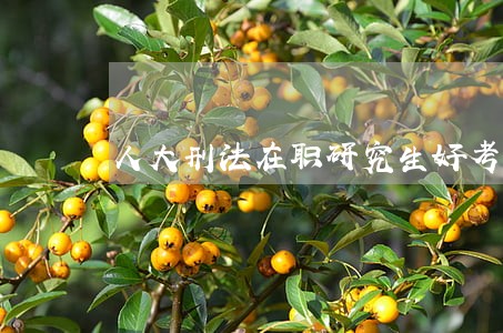 人大刑法在职研究生好考吗 人大刑法在职研究生好考吗