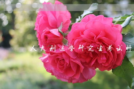 人大刑法学研究生考试科目 人大刑法学研究生考试科目