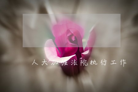 人大加强法院执行工作 人大加强法院执行工作