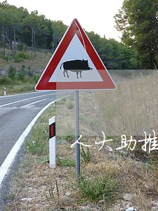 人大助推公益诉讼措施