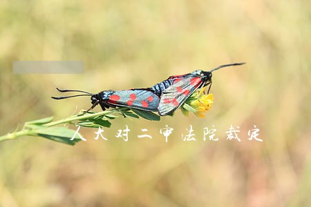 人大对二审法院裁定