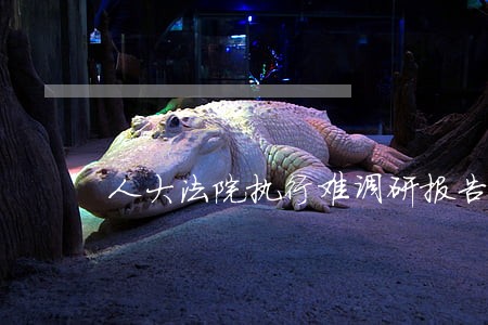 人大法院执行难调研报告 人大法院执行难调研报告