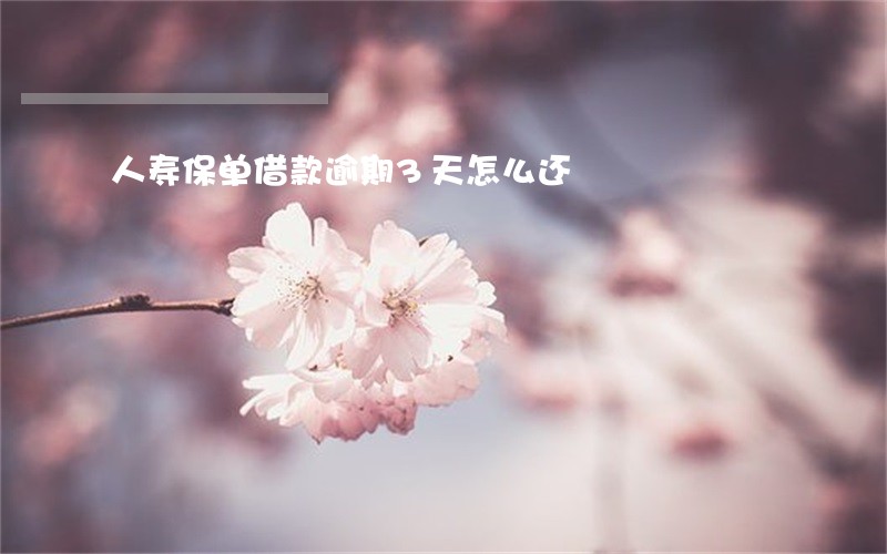 人寿保单借款逾期3天怎么还